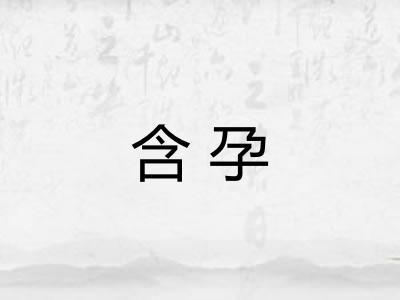 含孕 含孕