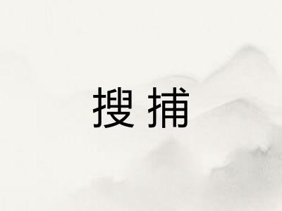 搜捕 搜捕