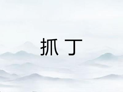 抓丁 抓丁