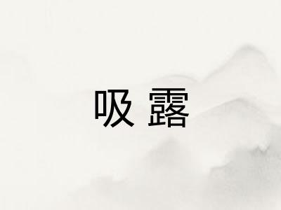 吸露 吸露