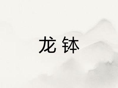 龙钵 龙钵