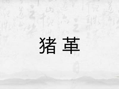 猪革 猪革