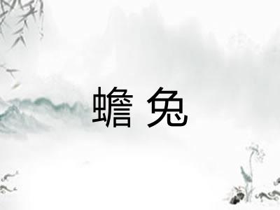 蟾兔 蟾兔