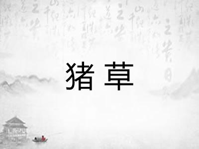 猪草 猪草