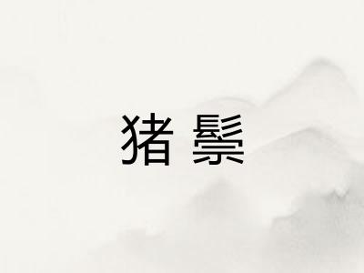 猪鬃 猪鬃