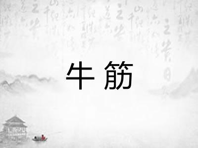 牛筋 牛筋