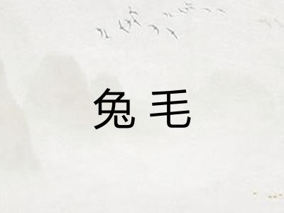 兔毛 兔毛