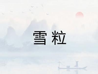 雪粒 雪粒