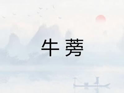 牛蒡 牛蒡