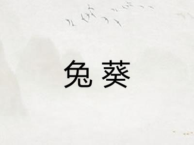 兔葵 兔葵