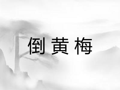 倒黄梅 倒黄梅