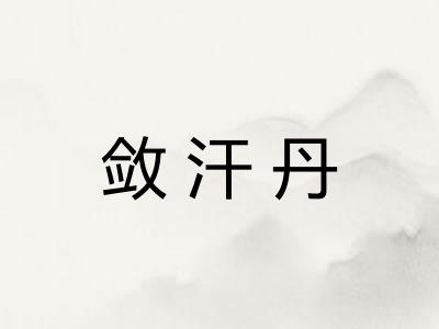敛汗丹 敛汗丹