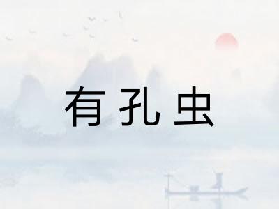 有孔虫 有孔虫