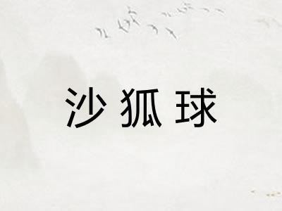 沙狐球