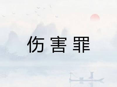 伤害罪 伤害罪