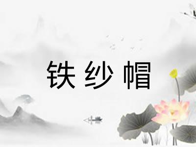 铁纱帽 铁纱帽