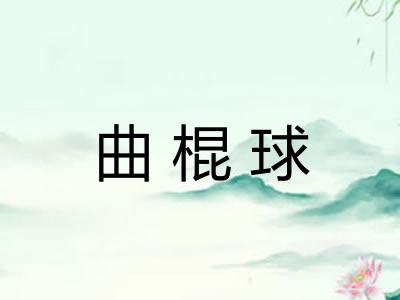 曲棍球