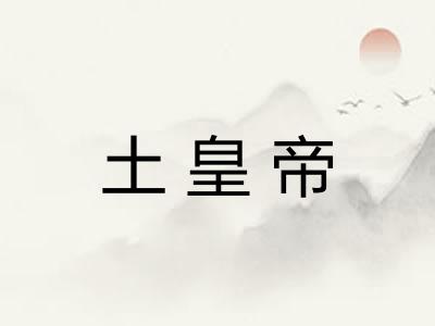 土皇帝 土皇帝