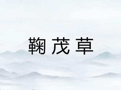 鞠茂草 鞠茂草