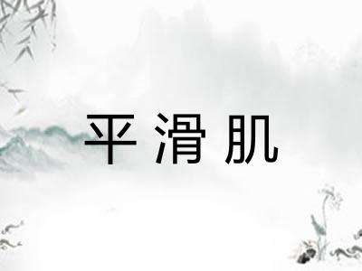 平滑肌 平滑肌