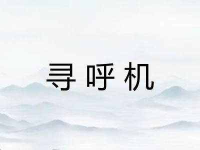 寻呼机 寻呼机