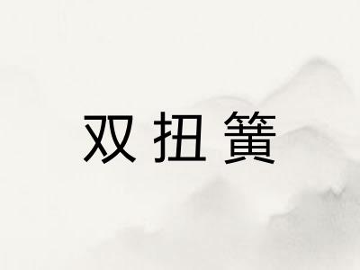 双扭簧 双扭簧