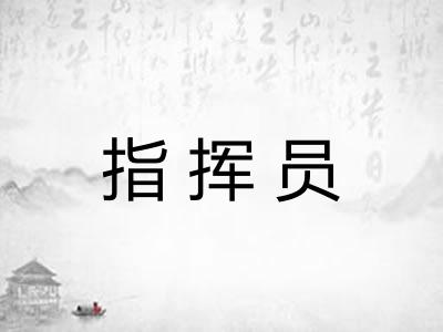指挥员 指挥员
