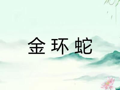 金环蛇 金环蛇