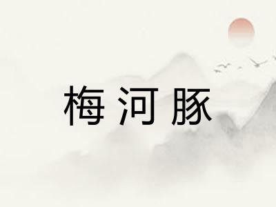 梅河豚 梅河豚