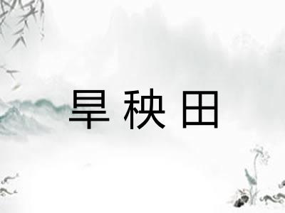 旱秧田 旱秧田