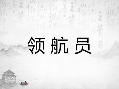 领航员 领航员