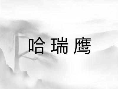 哈瑞鹰 哈瑞鹰