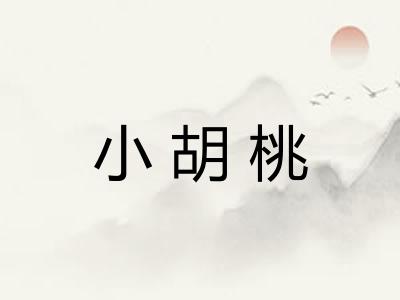 小胡桃 小胡桃