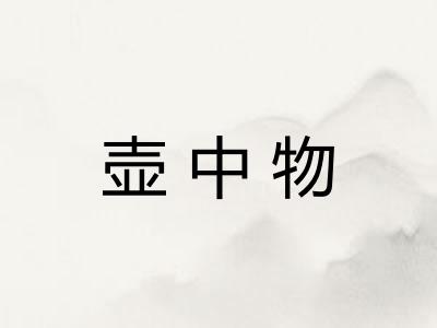 壶中物 壶中物