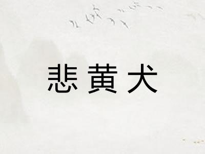 悲黄犬
