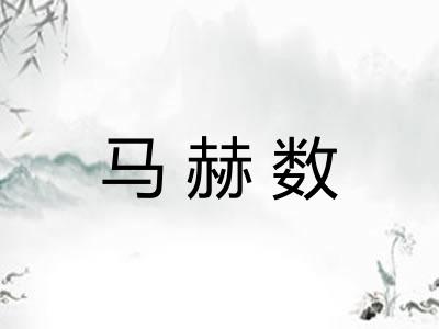马赫数