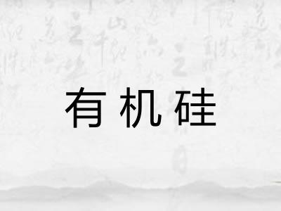 有机硅 有机硅