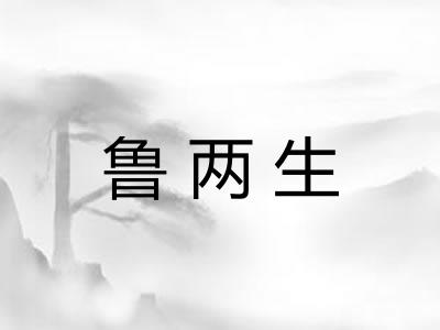 鲁两生 鲁两生