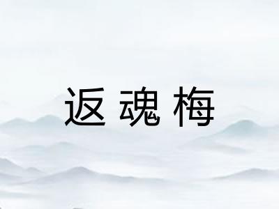 返魂梅 返魂梅