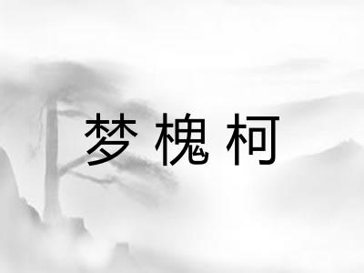 梦槐柯 梦槐柯