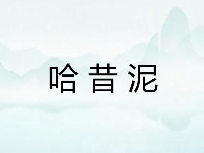 哈昔泥 哈昔泥