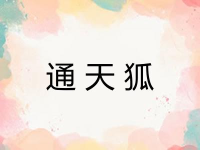 通天狐 通天狐