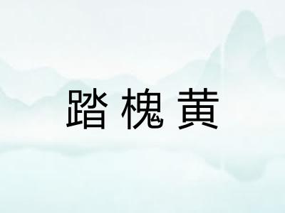 踏槐黄