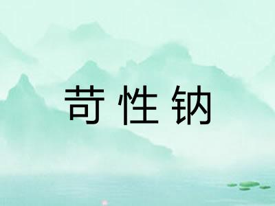 苛性钠 苛性钠