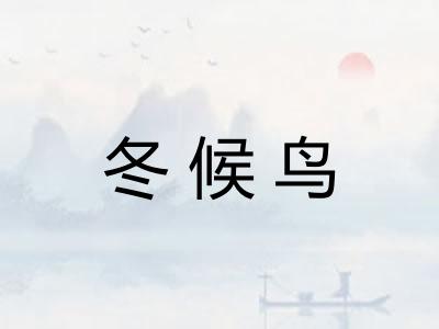 冬候鸟 冬候鸟