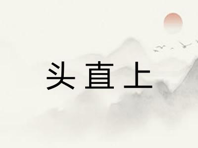 头直上 头直上