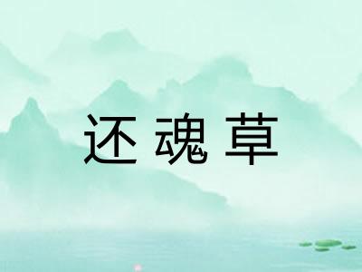 还魂草 还魂草