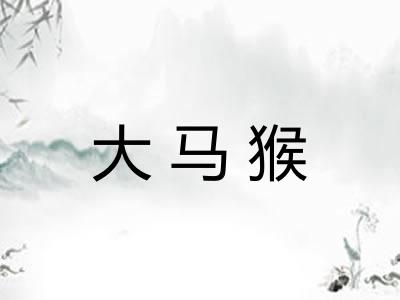 大马猴 大马猴