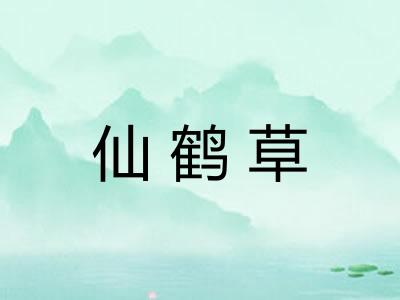 仙鹤草