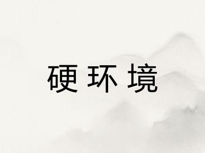 硬环境 硬环境
